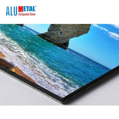 1250mm 8mm PE 알루미늄 합성 패널 알루미늄 보드 패널 거울 표면 AA3003